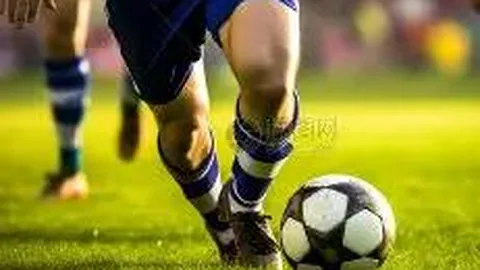 k1体育 产品 083827 lew