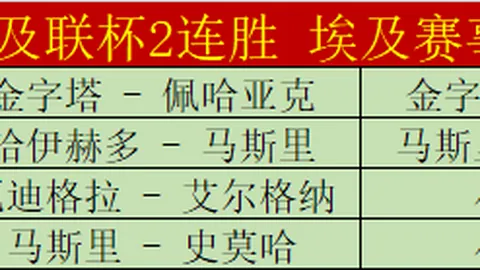 拜仁新星將接替羅伊斯參賽歐洲杯